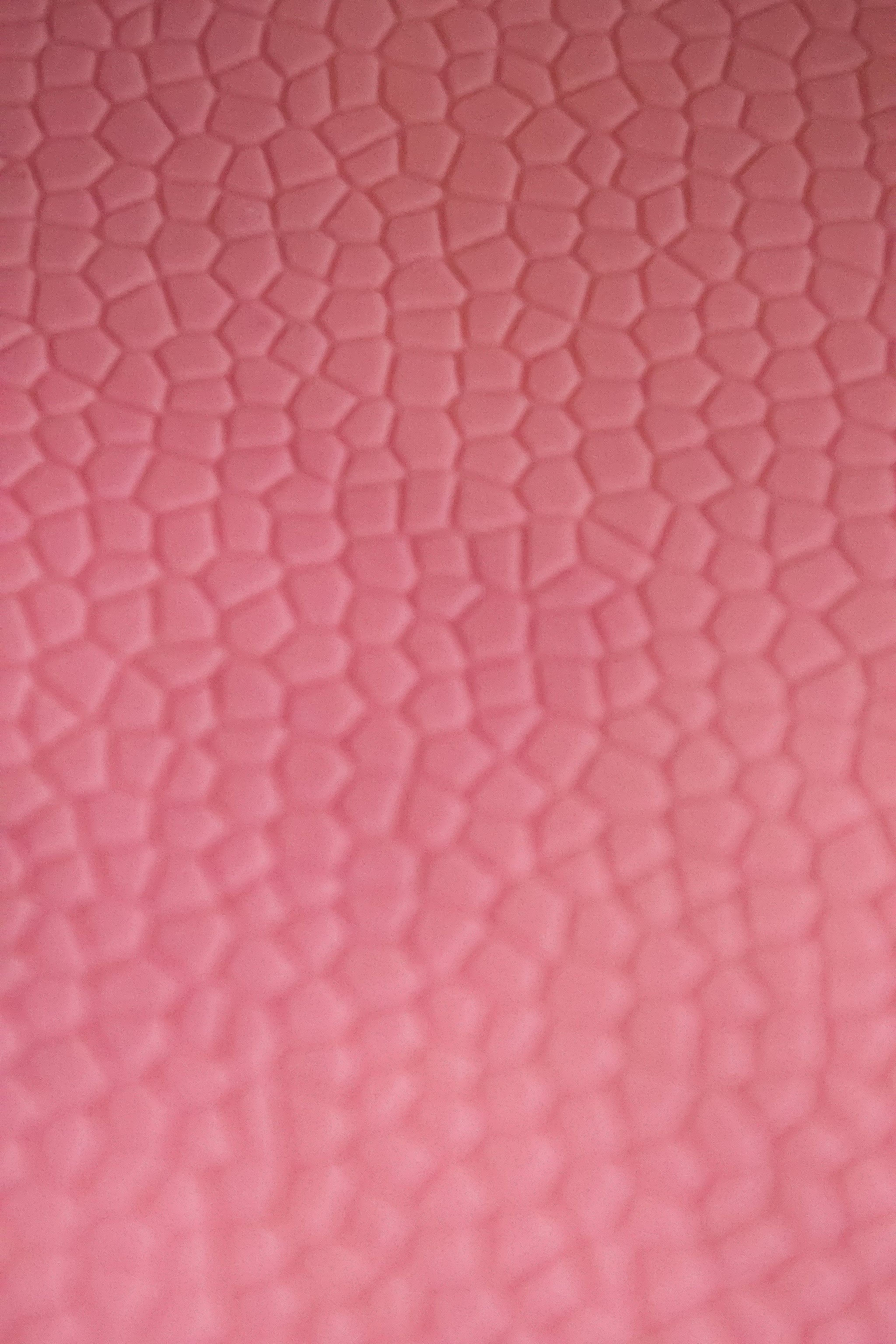 Cake Lace – Cake Craft by Charlotte & May